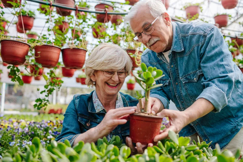 Senior Couple Enjoying Planting